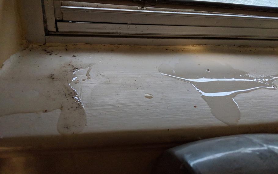 The 16 windows in the Hamiltons' on-base house at Randolph Air Force Base, Texas, leaked every time it rained. The Hamilton family is part of lawsuit filed Tuesday against Hunt Military Communities alleging mold and pest infestations and poor maintenance response.