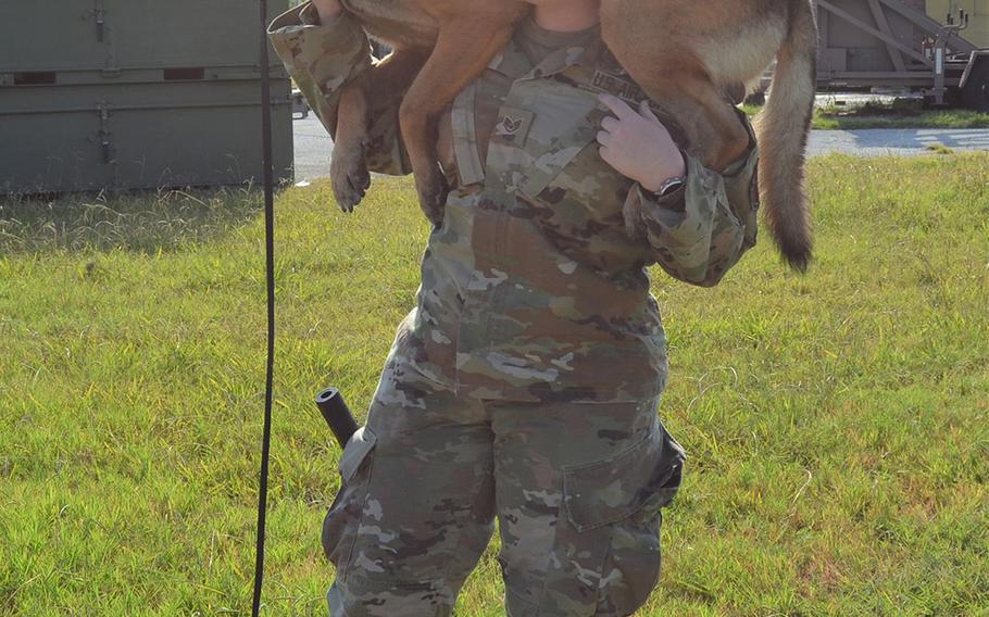 Staff Sgt. Sarah Banks holds 6-year-old Tarzan, a German shepherd, following a military working dog demonstration Thursday at Joint Base San Antonio in Texas. Tarzan is extremely smart, so Banks said she teaches him tricks such as jumping on her shoulders to keep his mind busy.