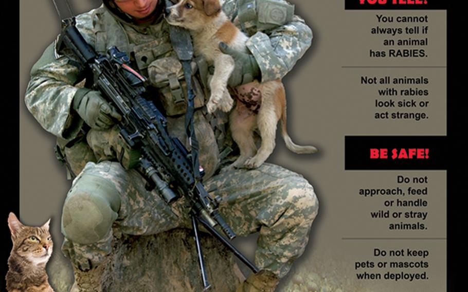 A U.S. Army poster warns of the dangers of contracting rabies from stray animals downrange.