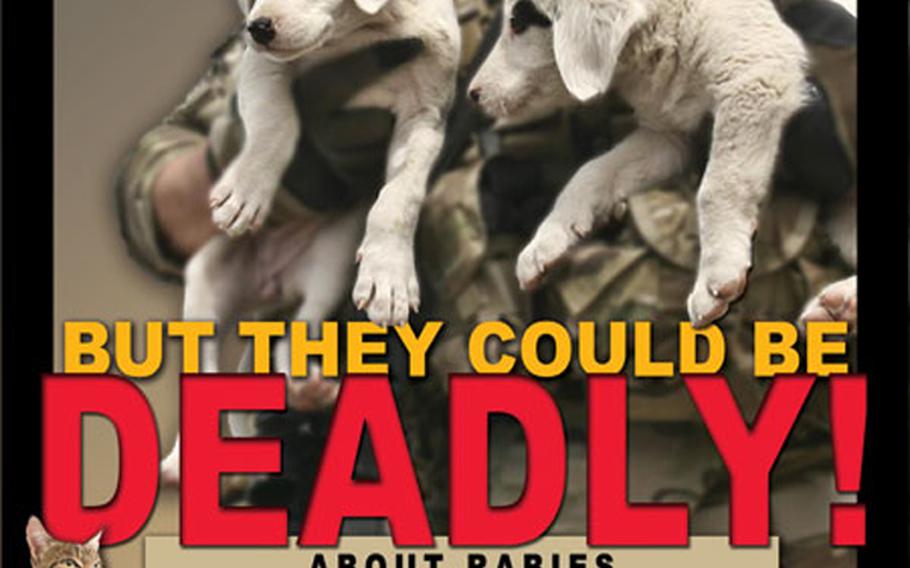 Army seeking troops bitten by stray animals following rabies death | Stars and Stripes Army seeking troops bitten by stray animals following rabies death | Stars and Stripes