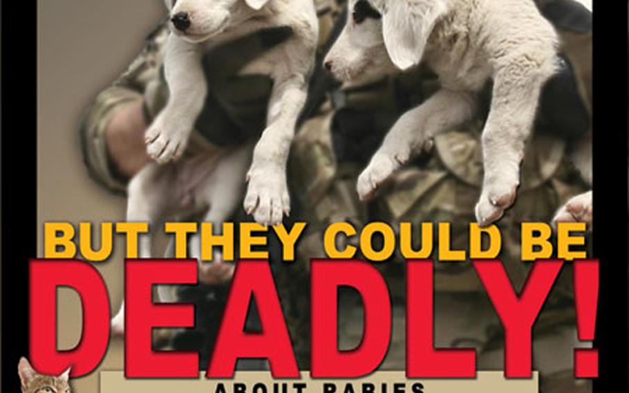 A U.S. Army poster warns of the dangers of contracting rabies from stray animals downrange.