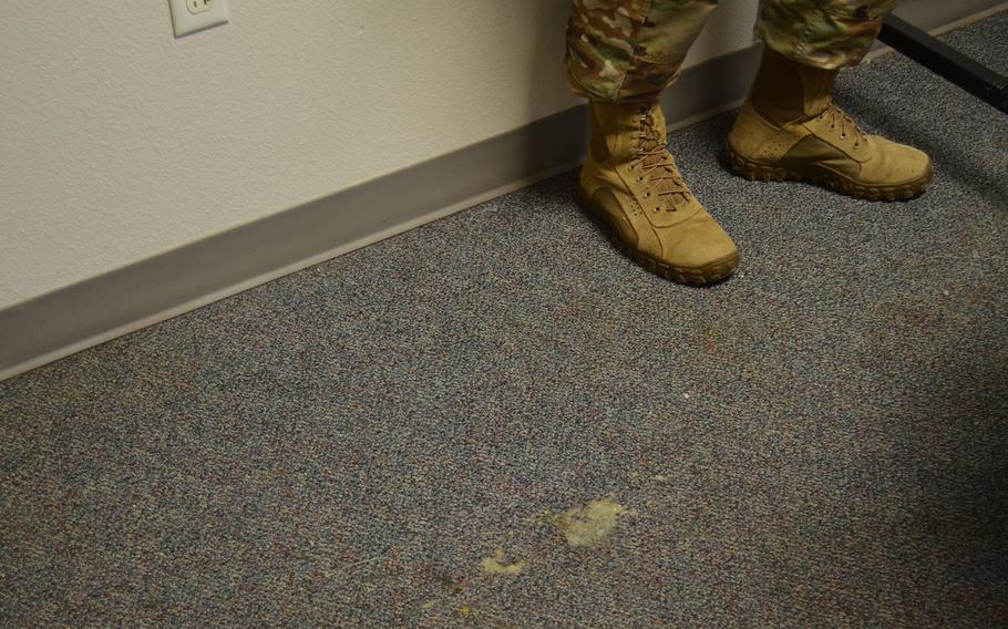 Mold is seen in the carpet of a dorm room in building 1215 at Lackland Air Force Base, Texas, on Thursday. Officials began a full review of dorm facilities following social media posts about mold in living spaces. 