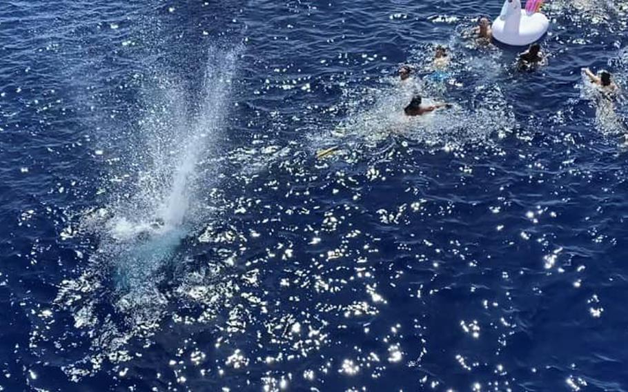 A U.S. Coast Guard members fires into the water during a swim call, to scare away a shark, somewhere in Oceania on Aug. 21, 2020. The USCG says they were well aimed shots and they didn't hurt any of the nearby swimmers, including the shark. 


