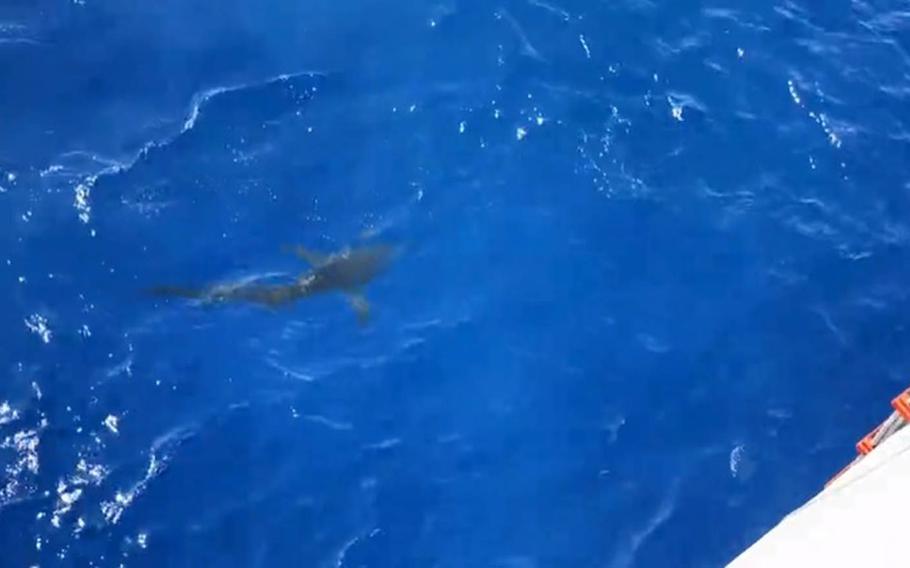 A shark approaches the cutter Kimball somewhere in Oceania on Aug. 21, 2020, in this screenshot of a video from the U.S. Coast Guard. U.S. Coast Guard