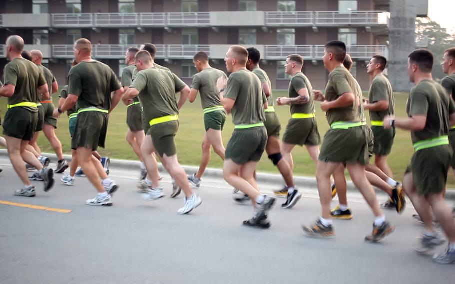 U.S. Marines with 26th Marine Expeditionary Unit conduct a command physical training session on Camp Lejeune, N.C., Aug. 5, 2011. Three Marines have died this year while exercising. Since 2010, there have been about two to three deaths each year associated with physical training.