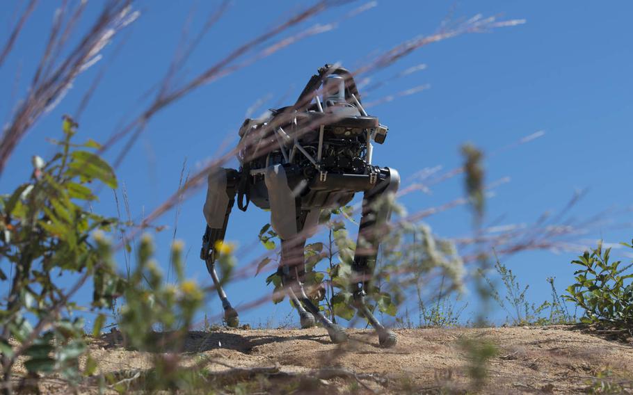 Spot, a quadruped prototype robot, walks down a hill during a demonstration at Marine Corps Base Quantico, Va.,Sept. 16, 2015. Employees of the Defense Advanced Research Projects Agency trained Marines from the Marine Corps Warfighting Lab how to operate Spot. But in December 2015, the Marines decided to shelve further research on the prototype.