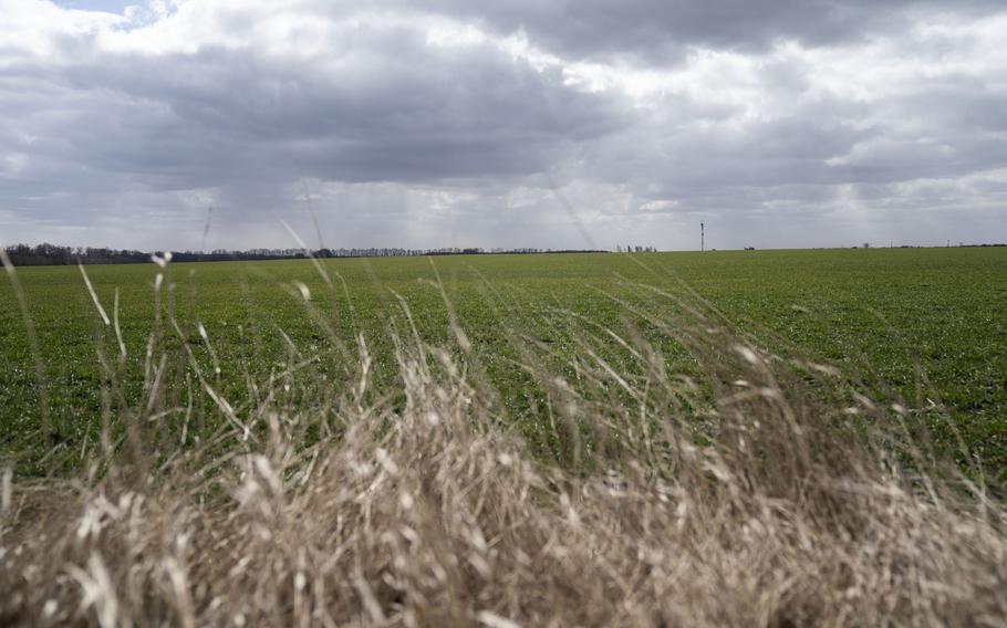 A field of young wheat rises off a country road on March 27, 2022, in Uman, Ukraine. 