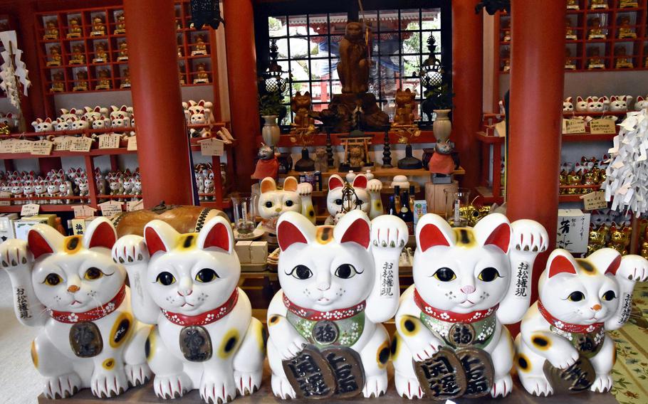 Beckoning cats fill the worship hall at Omatsu Daigongen Shrine in Anan, Tokushima Prefecture. 