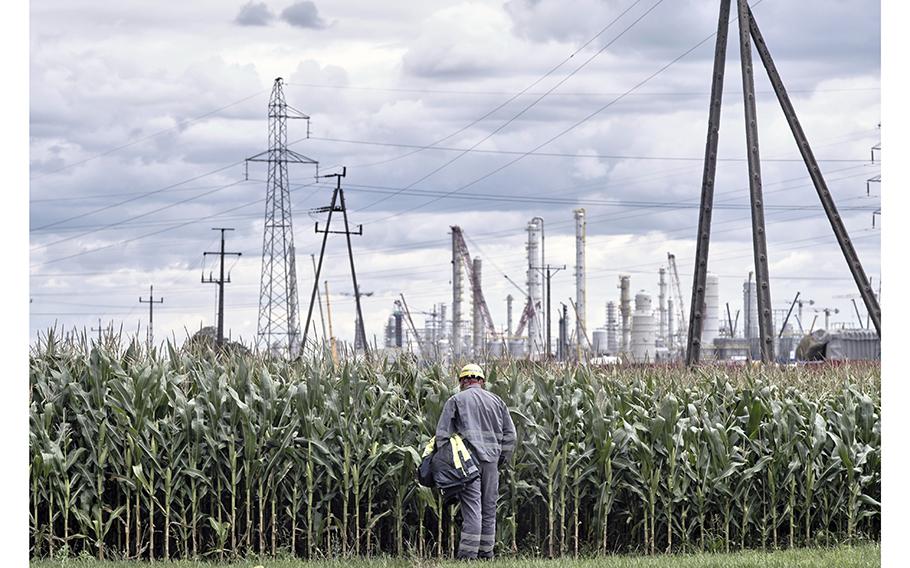 A worker looks at crops in a field near the Orlen refinery near Plock, Poland. Economic reality has caught up with some of the most vitriolic anti-immigrant rhetoric on the continent. 