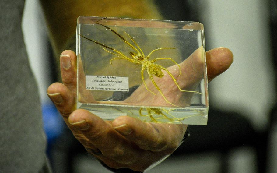 Army Spc. Joseph Neitz shows off a camel spider caught on Ali Al Salem Air Base in Kuwait and then encased in resin as a memento.