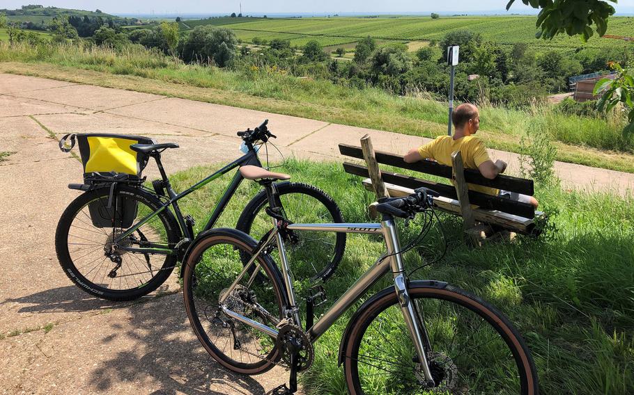 Taking in the view somewhere south of Neustadt an der Weinstrasse. The wine route in the southern part of Rheinland-Pfalz is a great place for biking among the vineyards, with beautiful views along the way. 