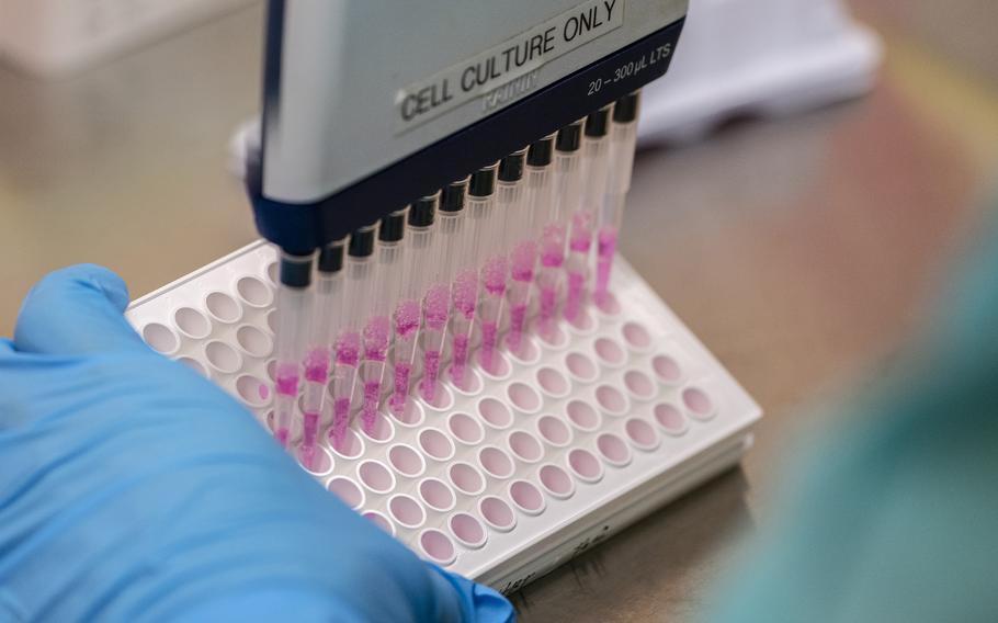 A pipette is used to wash cells of serum, separated from the blood of vaccinated mice, while working on vaccine and protein research in the Veesler Lab at the University of Washington on May 10, 2022 in Seattle, Washington. 