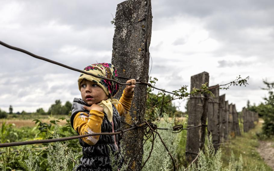 Ivana Dobrovec by the fence of her family's property among the raspberry bushes in the village of Kopyshche. 