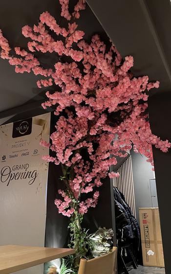 The decor at Mizuki in Kaiserslautern, Germany, includes this faux cherry blossom tree. 