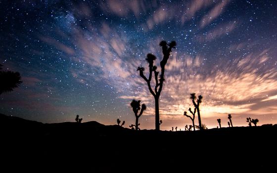 Nighttime traffic to popular destinations such as California's Joshua Tree National Park spreads the visitor footprint over a greater swath of the day. MUST CRDIT: Lian Law/National Park Service