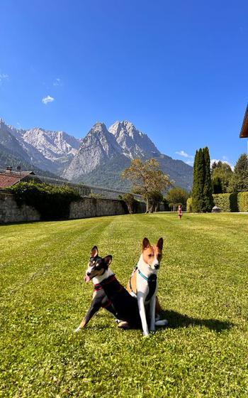 Benji and Debbie at Edelweiss Resort