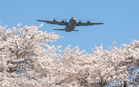 東京のアメリカ空手ハブは、COVID-19スライドが続いて桜祭りを復活させます。