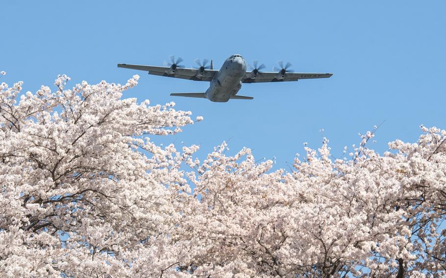 A C-130J Super Hercules assigned to the 36th Airlift Squadron flies over cherry blossoms at Yokota Air Base, Japan, March 30, 2018. 