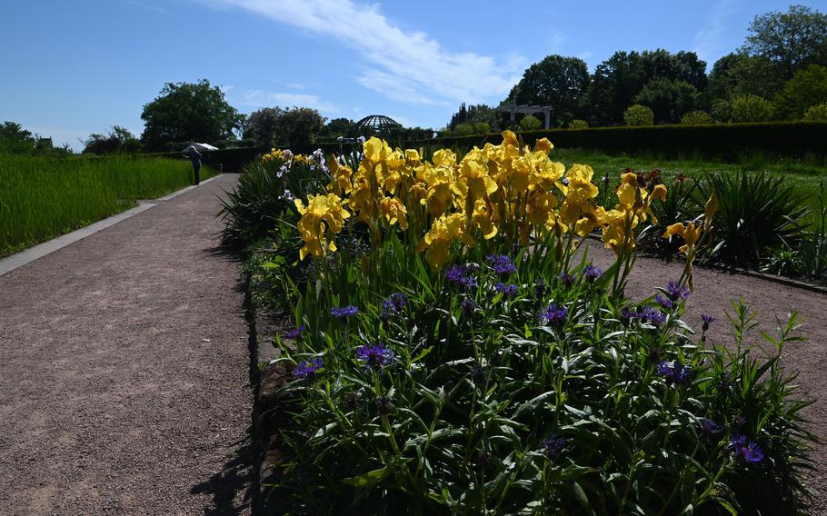 A variety of flowers bloom in the Rosarium at Park Rosenhoehe in Darmstadt, Germany.