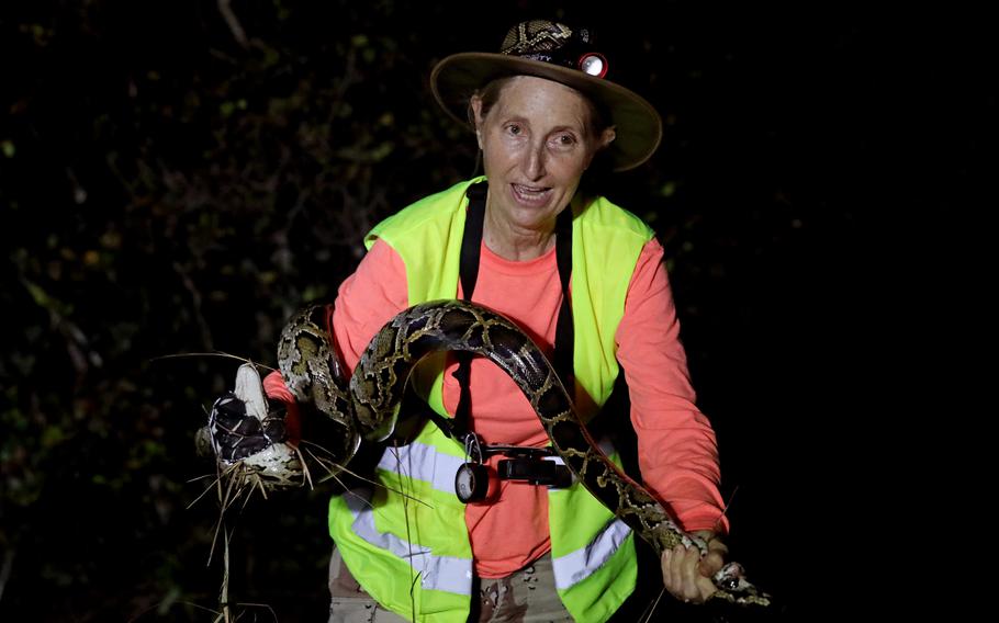 Donna Kalil, 60, of Kendall, Fla., a python removal agent contracted by the South Florida Water Management District, with an 8.5-foot python she caught west of Miami on Aug. 10, 2022. 