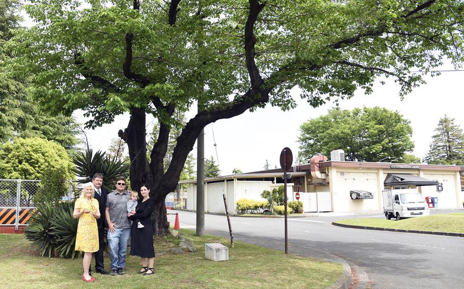 The family of former Yokota commander Col. Fred Stevers pose with the Japanese American Community Relations Tree on the air base in western Tokyo, April 23, 2023. The cherry tree, a gift to Stevers from local leaders, was planted on April 23, 1953. 