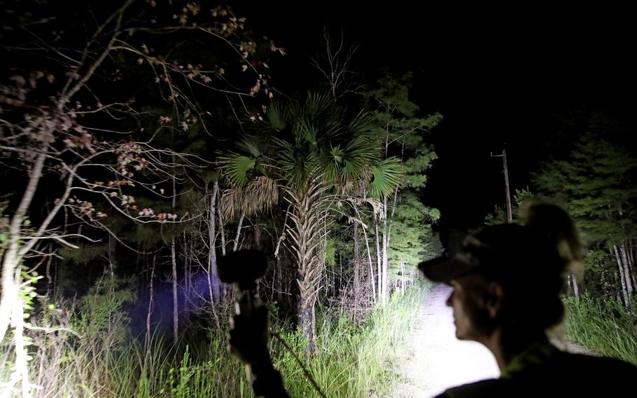 Amy Siewe of Naples, Fla., a python removal agent contracted by the South Florida Water Management District, hunts for pythons during the Python Challenge in the Everglades on Aug. 11, 2022, in Naples, Fla. 