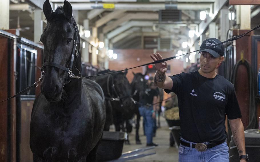 A soldier walks next to a black horse.