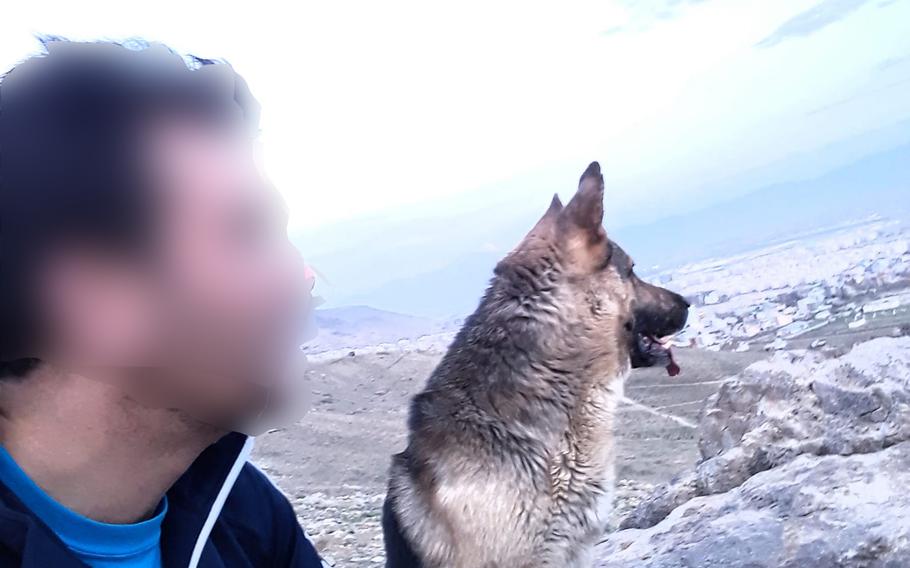 Mohammad and his German shepherd relax after a morning run near Kabul in 2018. A Special Immigrant Visa applicant, Mohammad was evacuated from Afghanistan in October 2021 by Task Force Argo, a private U.S. group founded and led by veterans.