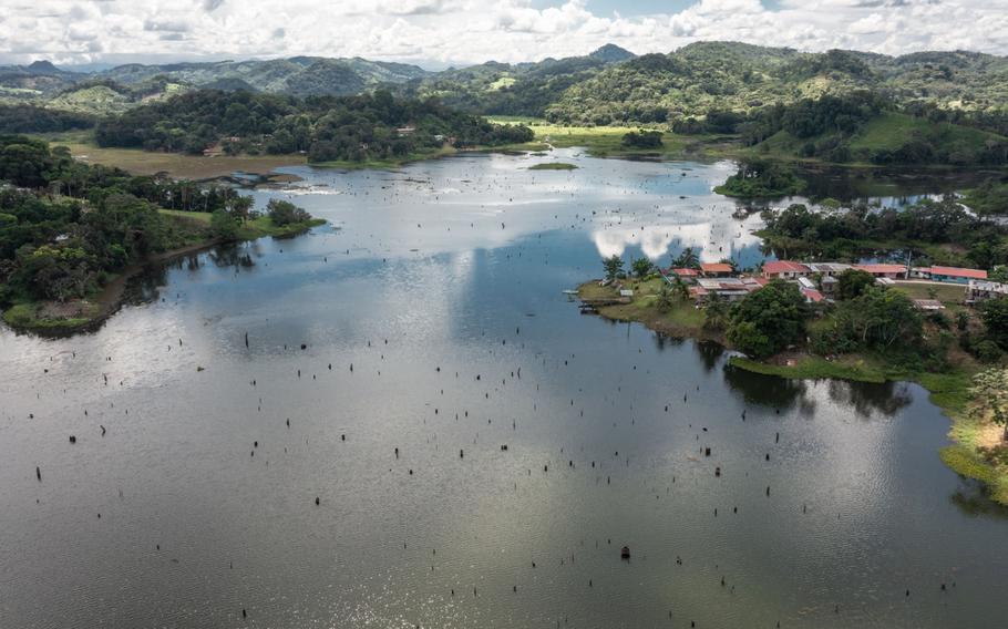 Tree stumps emerge from low water levels at Gatun Lake in the corregimiento of Ciricito, in Colon district, Panama. 