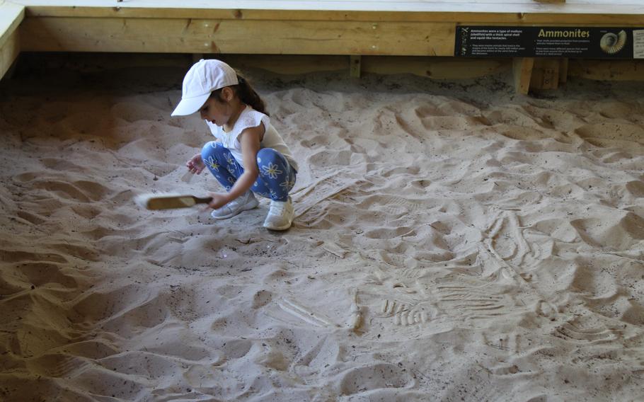 Penelope Alvarez uses a brush to move sand in an attempt to find more dinosaur bones in the X-Tinction Fossil Dig attraction inside ROARR! Dinosaur Adventure theme park, about an hour from RAF Lakenheath in England. The park offers a variety of interactive educational attractions for children. 