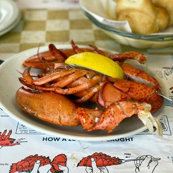 Close-up view of a cooked lobster on a plate with a lemon wedge on top.