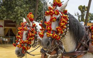 The Horse Fair at Jerez de la Frontera, Spain, May 17-24 will include equestrian shows, bullfights and fiestas.