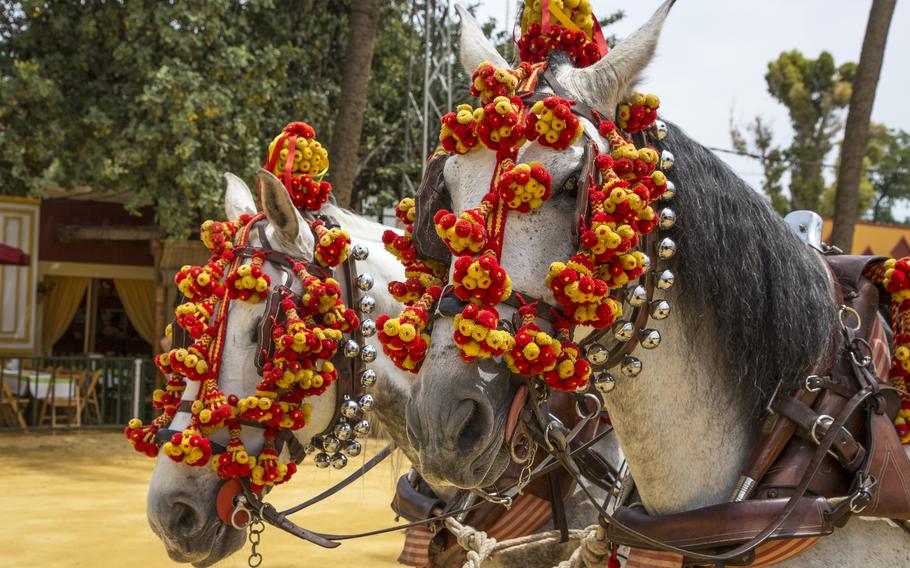 The Horse Fair at Jerez de la Frontera, Spain, May 17-24 will include equestrian shows, bullfights and fiestas.