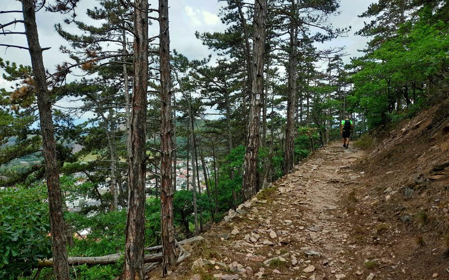 The trail follows the contours of the Nahe River as it flows between Bad Muenster am Stein and Bad Kreuznach.