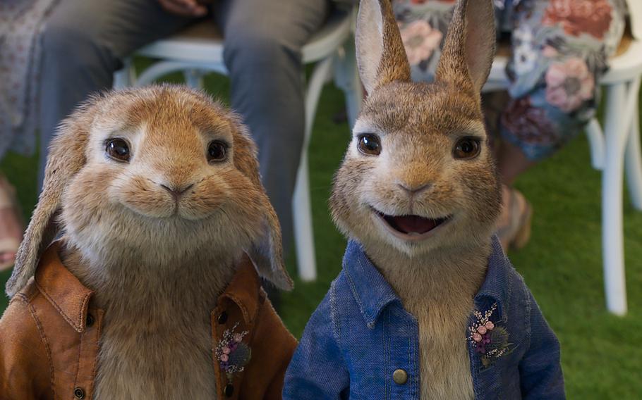 Benjamin (Colin Moody) and Peter Rabbit (James Corden) get up to more trouble in “Peter Rabbit 2: The Runaway.”