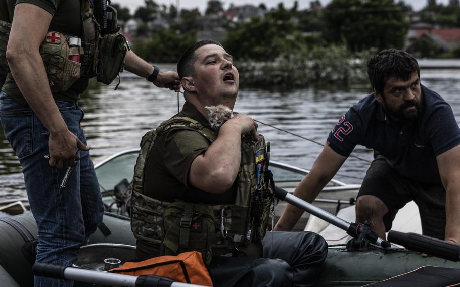 Oleksandr Prokopiev, a volunteer, places a rescued kitten into his flak jacket as rescue and evacuation attempts continued in Kherson, Ukraine.