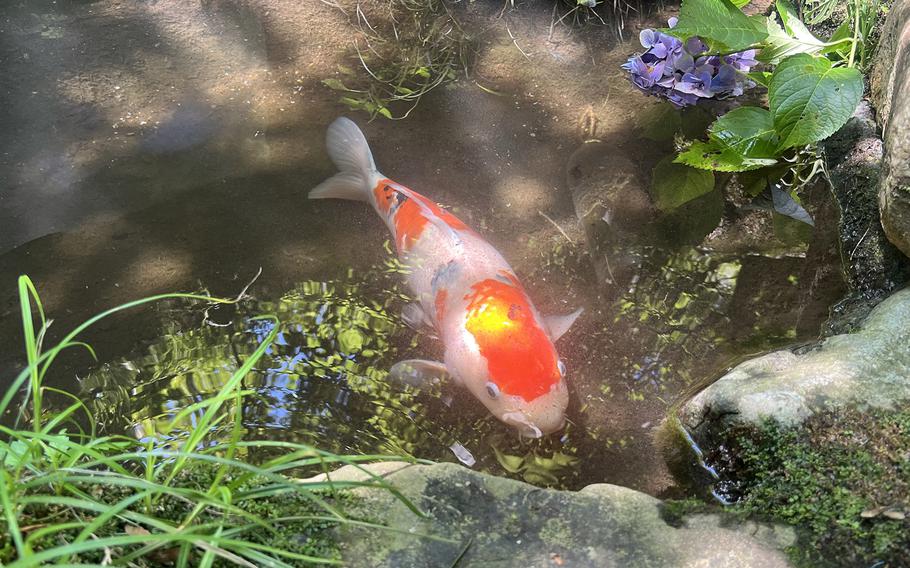 Fukasawa Tiny Museum in Akiruno, Japan, is surrounded by greenery and koi ponds built by sculptor Akimitsu Tomonaga.