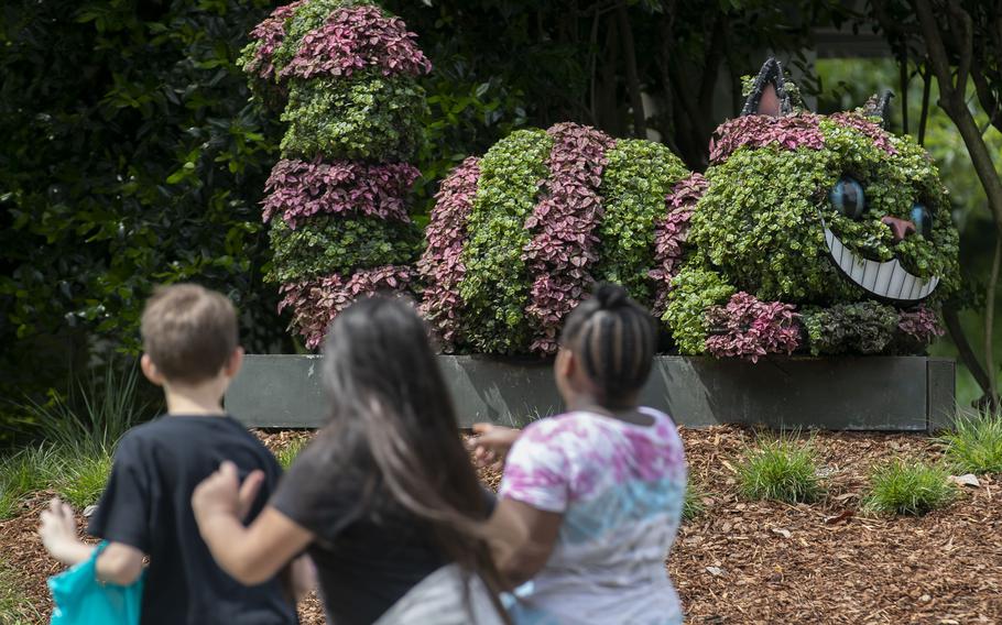 A Cheshire Cat planting grins at passing viewers in the “Alice’s Adventures in the Garden” exhibit at Memphis Botanic Garden May 10 in Memphis, Tenn. The exhibit will remain open until Oct. 31. 