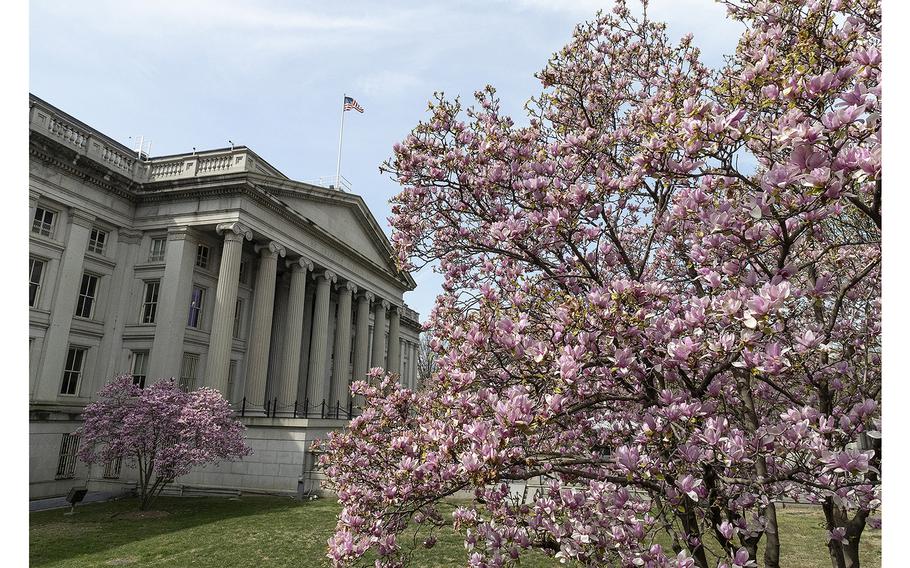 Magnolia trees blossom outside the Treasury Building in Washington, D.C., March 23, 2023.