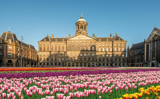National tulip day at the Dam Square in Amsterdam, Netherlands, takes place Jan. 21. Visitors are invited to take home a bulb.