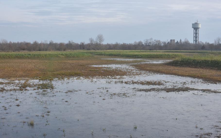 The large ponds in Parco delle Fonti di Torrate are essentially bogs at this time of year. But they're evidence of the natural springs that supply water to the water tower in the background and via pipes to communities in the area southeast of Aviano Air Base.