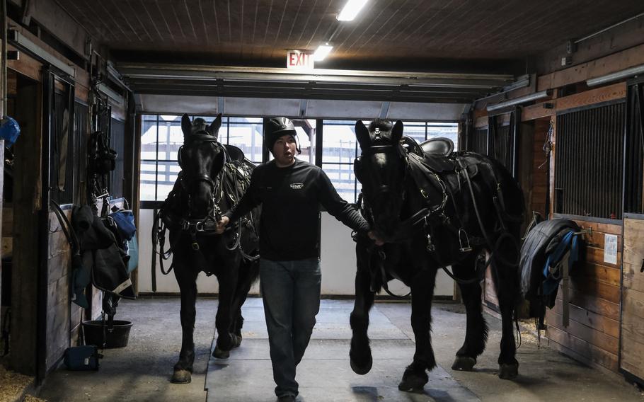 A soldier and two horses.