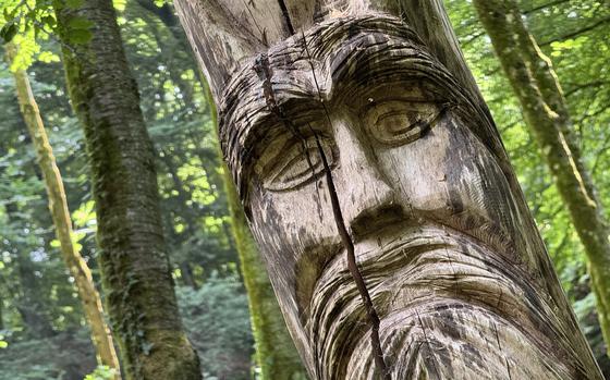 A man’s face carved into a tree trunk.