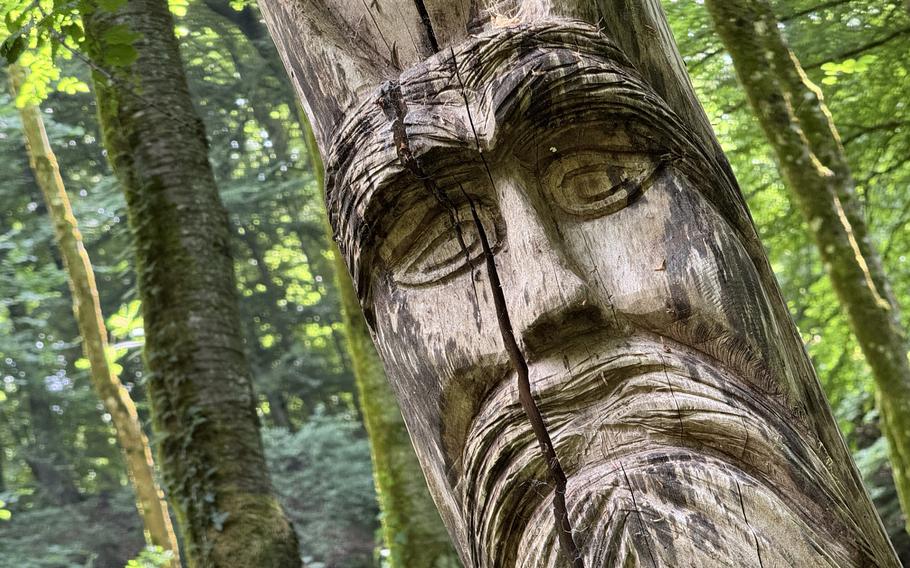 A man’s face carved into a tree trunk.