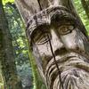 A man’s face carved into a tree trunk.