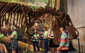 A boy looks inside the jaws of Mr. Bones the Tyrannosaurus rex before the official opening of the fossil hall at the National Museum of Natural History in June 2019. 