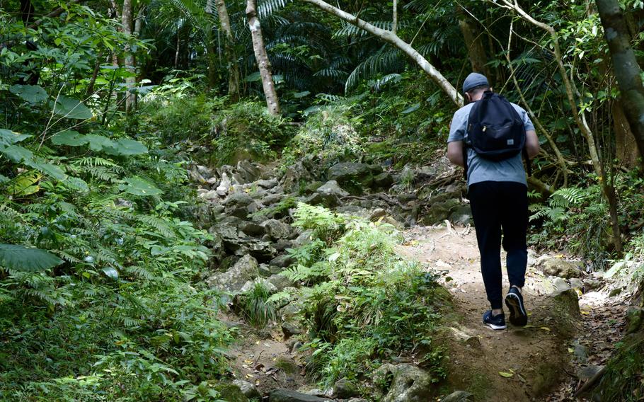 Mount Katsuu is a nostalgic wilderness escape from the contemporary atmosphere of the American bases on Okinawa. 