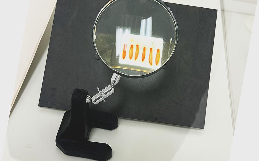 An example of Fischoederius elongatus, a foodborne parasite, is displayed beneath a magnifying glass at the Meguro Parasitological Museum in Meguro Tokyo, Japan, June 23, 2022.