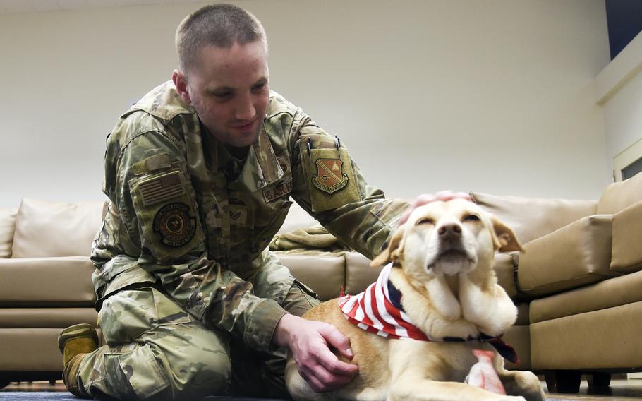 Air Force Staff Sgt. James Kennedy pets Maria, a theraphy dog, at the USO on Yokota Air Base, Japan, Jan. 25, 2024. 