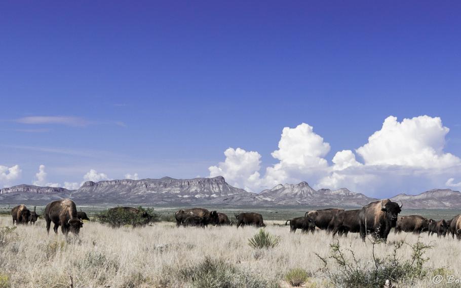About 315,000 acres of southern New Mexico land owned by billionaire media tycoon Ted Turner were protected from development in a partnership between the U.S. Department of Defense and New Mexico Land Conservancy, the Carlsbad Current-Argus reported.